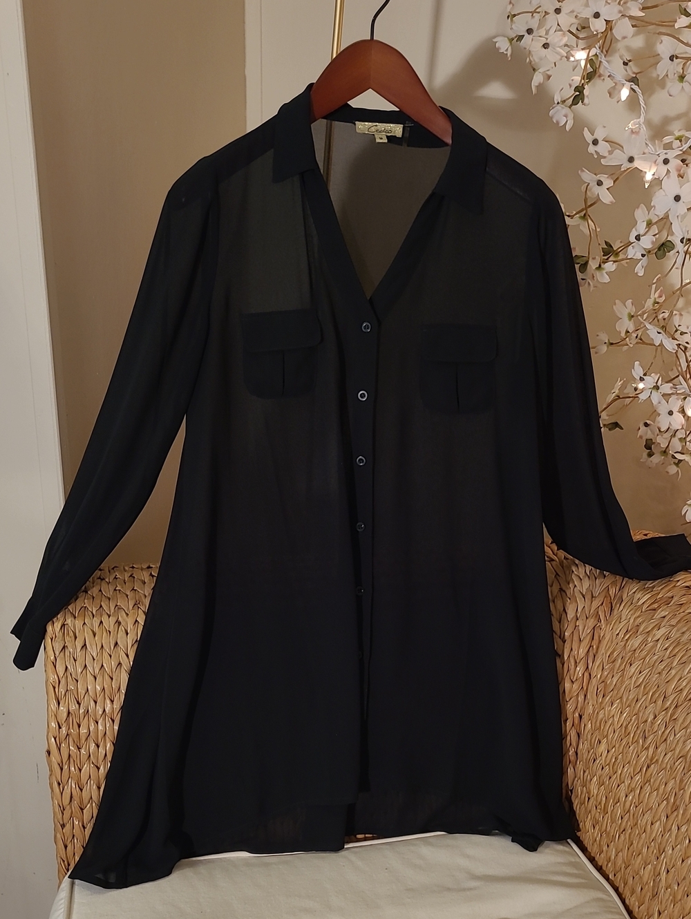 Sheer Black Button-Front A-Line Shirt Dress